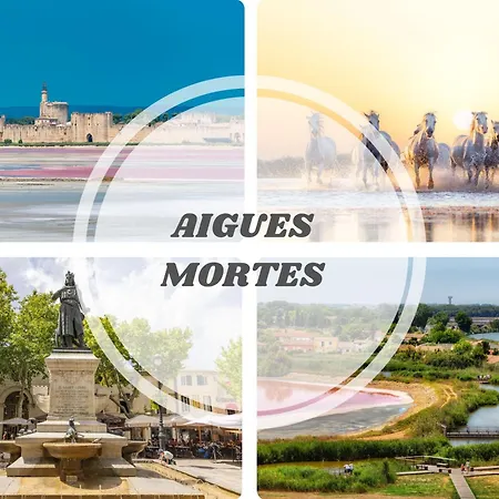 Escapade - Climatise, Terrasse, Wifi Prosconciergerie Lejlighed *